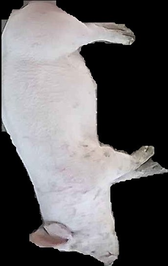 Crop