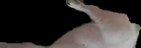 Crop