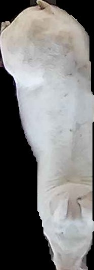 Crop