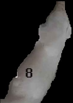 Crop