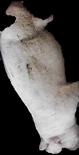 Crop
