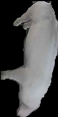 Crop
