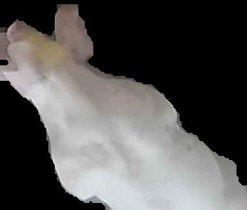 Crop