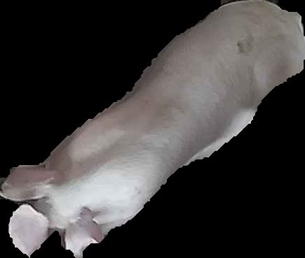 Crop