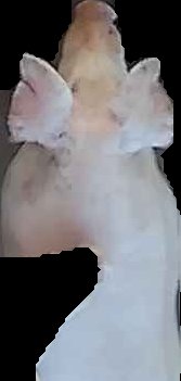 Crop