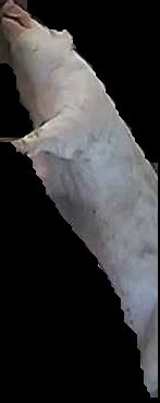 Crop