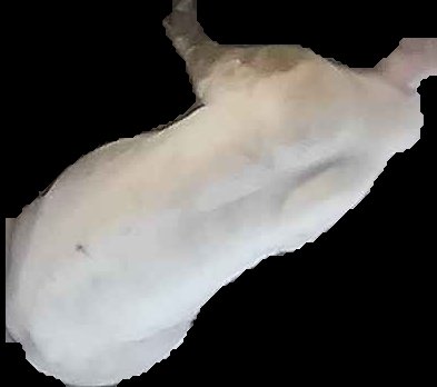 Crop