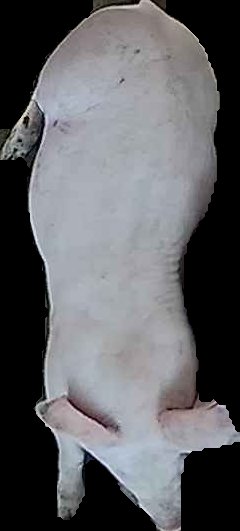 Crop