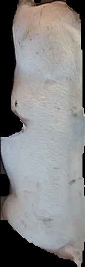 Crop
