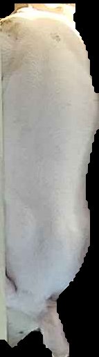 Crop