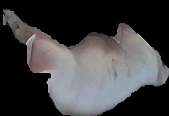 Crop
