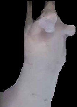 Crop