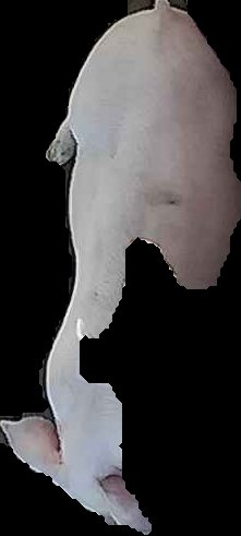 Crop
