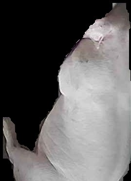 Crop