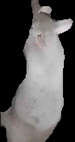 Crop