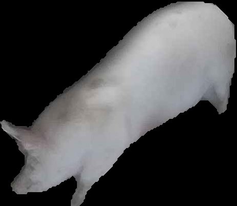 Crop