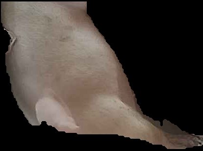 Crop