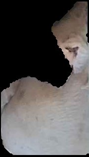 Crop