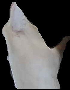 Crop