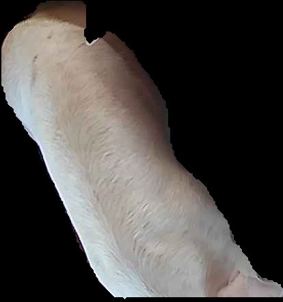 Crop