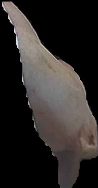 Crop