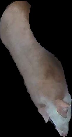 Crop
