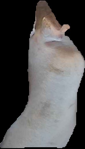 Crop