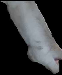 Crop