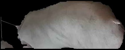 Crop