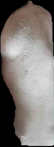 Crop