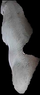 Crop