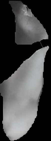 Crop