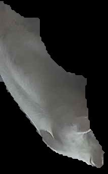 Crop
