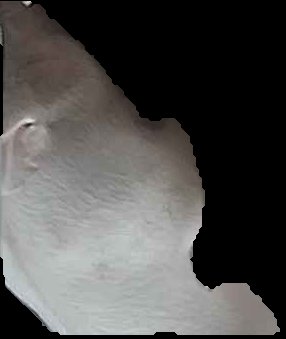 Crop