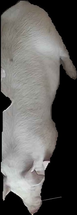 Crop