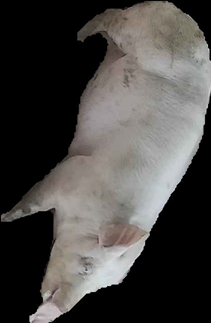 Crop