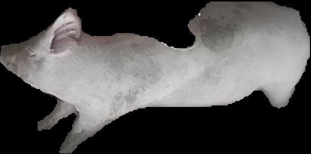 Crop