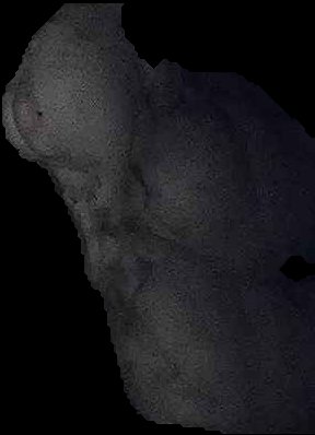 Crop