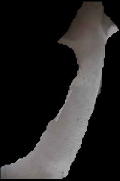 Crop