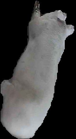Crop