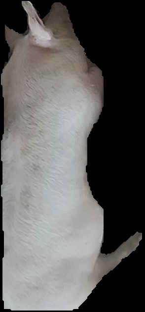 Crop