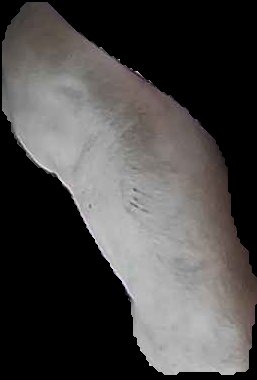 Crop