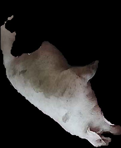 Crop