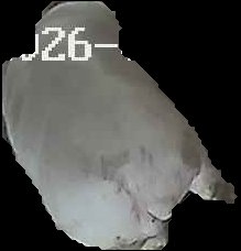 Crop