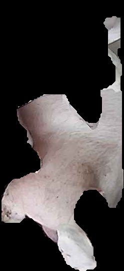 Crop