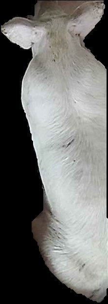 Crop