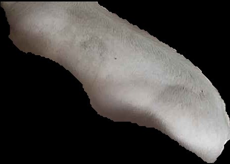 Crop
