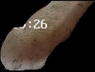Crop