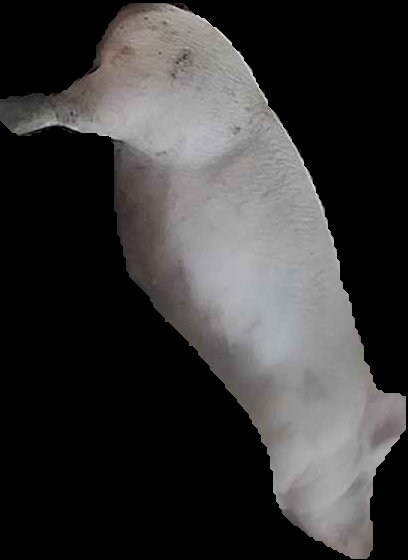 Crop