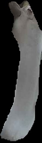 Crop